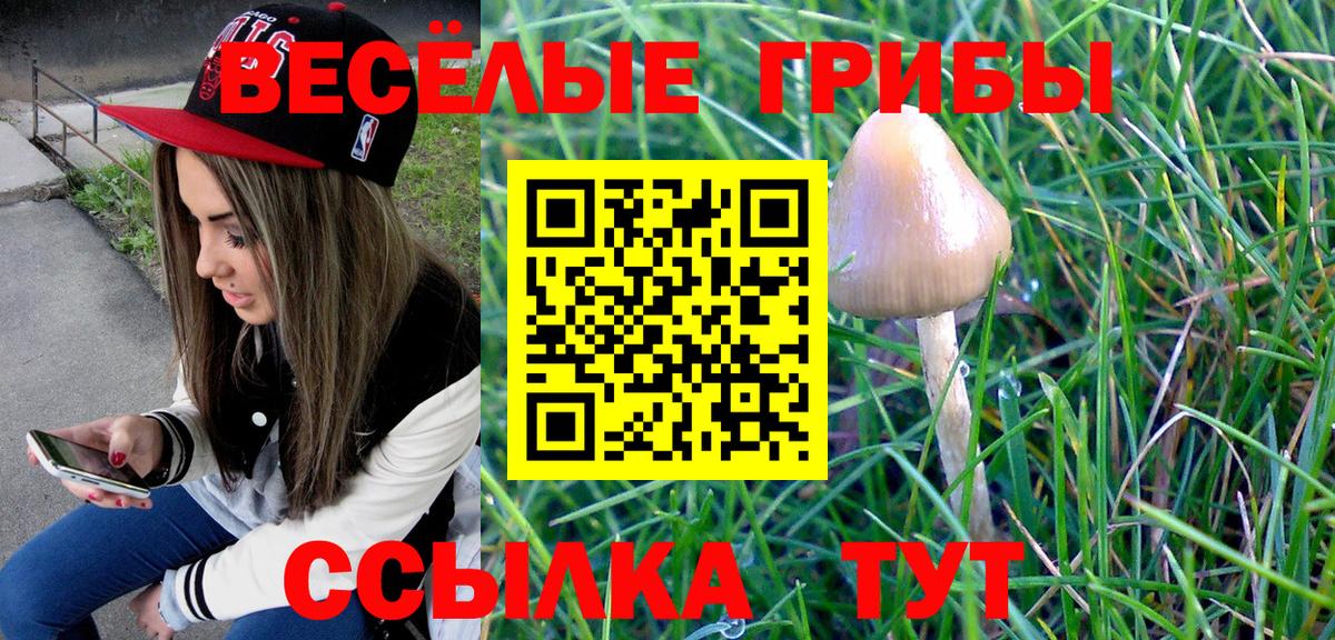 Клин  Галлюциногенные грибы GOLDEN TEACHER  Галлюциногенные грибы MAGIC MUSHROOMS  Вход с VPN 